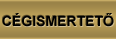Cégismertető